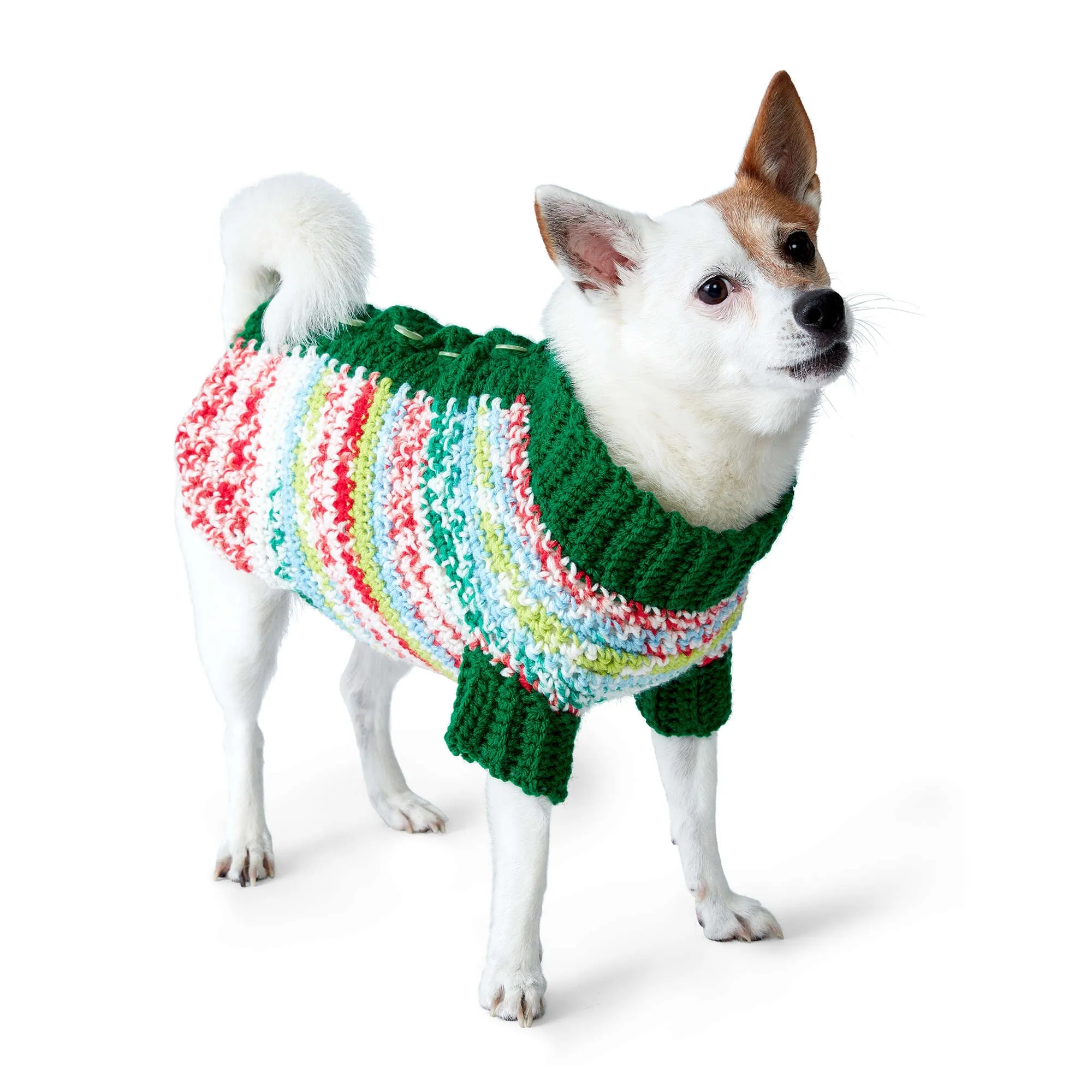 Red Heart Crochet Fair Isle Dog Cardigan